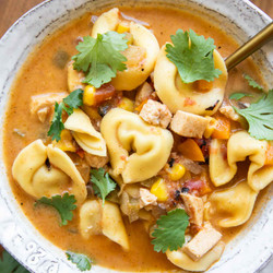 Creamy Protein Packed Soup