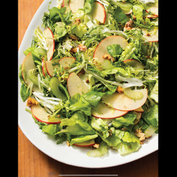 Bibb and Frisée Salad w/ Apple and Celery