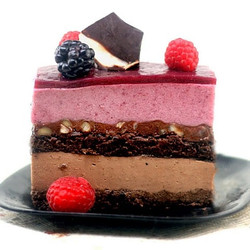 Chocolate Panna Cotta - Berry Mousse Cakes with Hazelnut Ganache