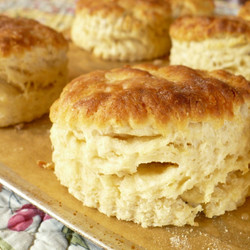 Savory Cheese And Herb Biscuits