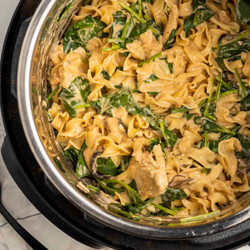 Instant Pot Chicken Stroganoff