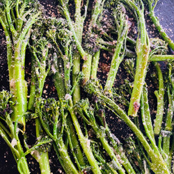 Blackstone Lemon Parmesan Broccolini