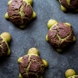Matcha Milk Bread Turtles