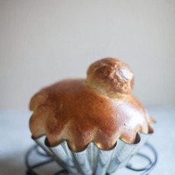 Brioche Dough Recipe - Artisan Bread In Five Minutes A Day