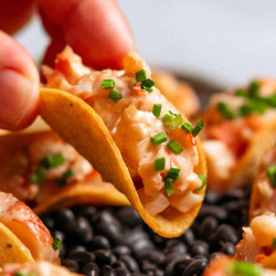 Prawn Cocktail Mini Tacos (shrimp)