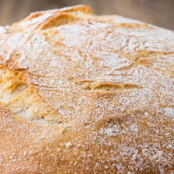 Crusty Bread