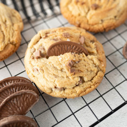 Chocolate Orange Cookie