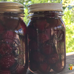 Canning Cherries