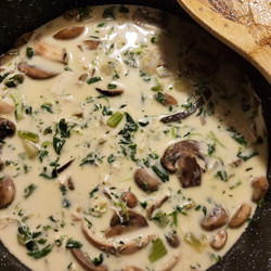 Rotisserie Chicken Mushroom Soup