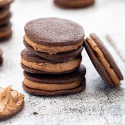 Peppermint Cream Chocolate Biscuits