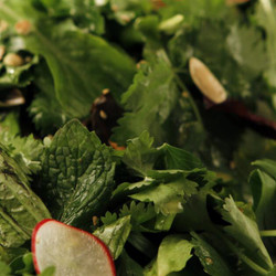 Fresh Herb Salad With Seeds Recipe