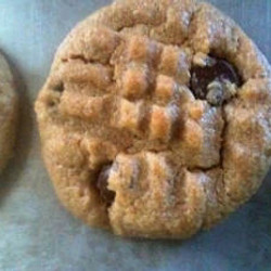 Flourless Peanut Butter Chocolate Chip Cookies