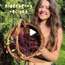 Elderberry Balsamic