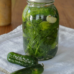 Fermented Pickles