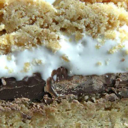 S'mores Bars