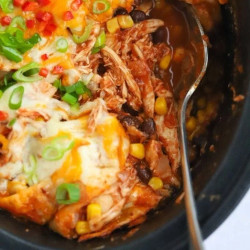 Chicken Enchiladas {slow Cooker Recipe}