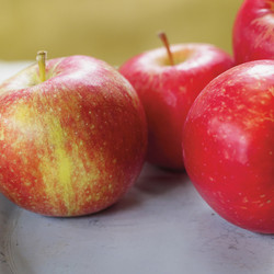 Beurre De Pommes