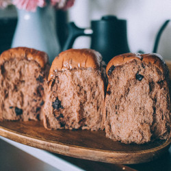 Chocolate Milk Bread (shokupan)