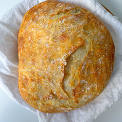 No Knead Cheddar Bread