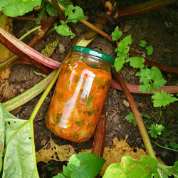 Rhubarb Kimchi