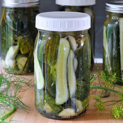 Refrigerator Garlic Dill Pickles