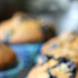Blueberry Cornmeal Sourdough Muffins