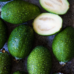Instant Feijoa Ice Cream