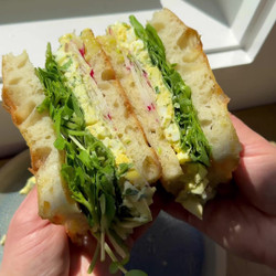 Egg Salad And Radish Sandwich