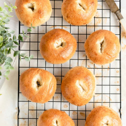 Homemade Plain Bagels In Less Than 3 Hours