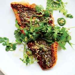 Seared Black Bass With Scallion-chile Relish