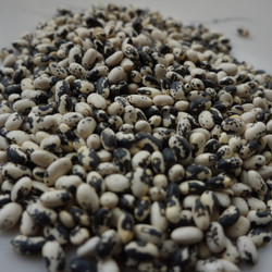 Orca Bean Vegetable Soup