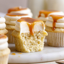 Salted Caramel Cupcake