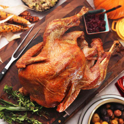 The Best Simple Roast Turkey With Gravy