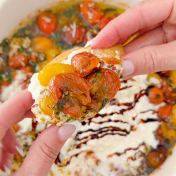 Roasted Tomato Burrata Dip