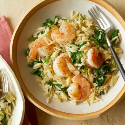 Lemony Shrimp Scampi With Orzo And Arugula