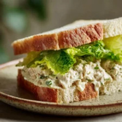 Simple Tuna Sandwich Recipe With Mayo