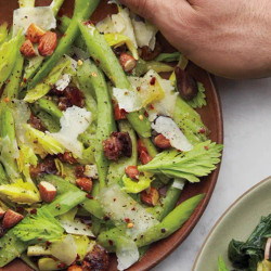 Celery Salad four horsemen