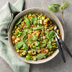 Crispy Rice Salad – Nam Kaho Tod