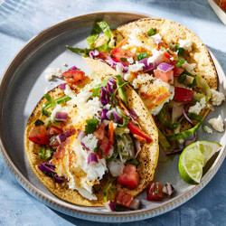 Seared Halibut Fish Tacos with Cilantro Slaw