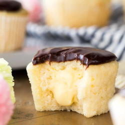 Boston Cream Cupcakes