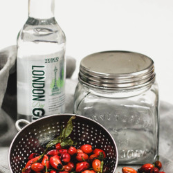 Rosehip Gin