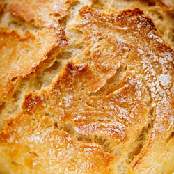 No Knead Artisan Bread