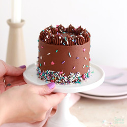 Small Batch Chocolate Cake