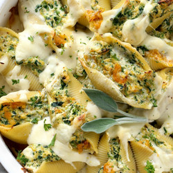Roasted Squash And Ricotta Stuffed Shells With Alfredo Sauce