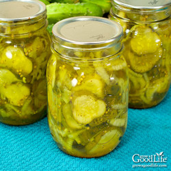 Granny's Bread &amp; Butter Pickles Recipe