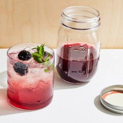 Any-berry Shrub
