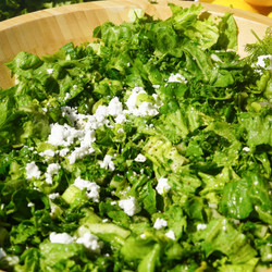 Lemon Dill Salad