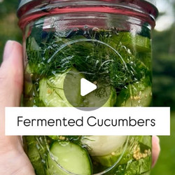 Fermented Cucumbers