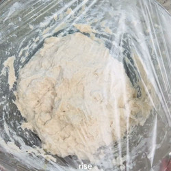 Panini Bread Rolls