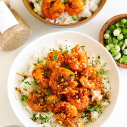 Volcano Shrimp